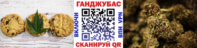 мега зеркало  наркота  Можга  Canna-Cookies конопля 