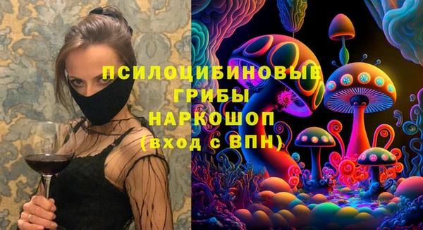 соль ск Балахна