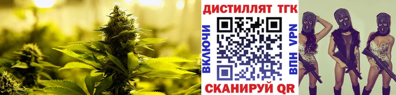 ТГК Wax  Можга 